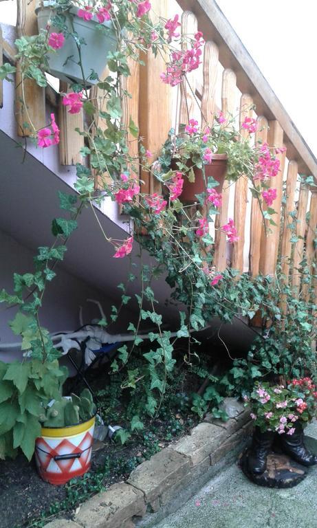 Apartment Centar SJJ Eksteriør bilde