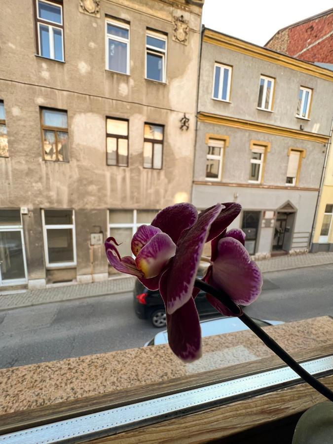 Apartment Centar SJJ Eksteriør bilde