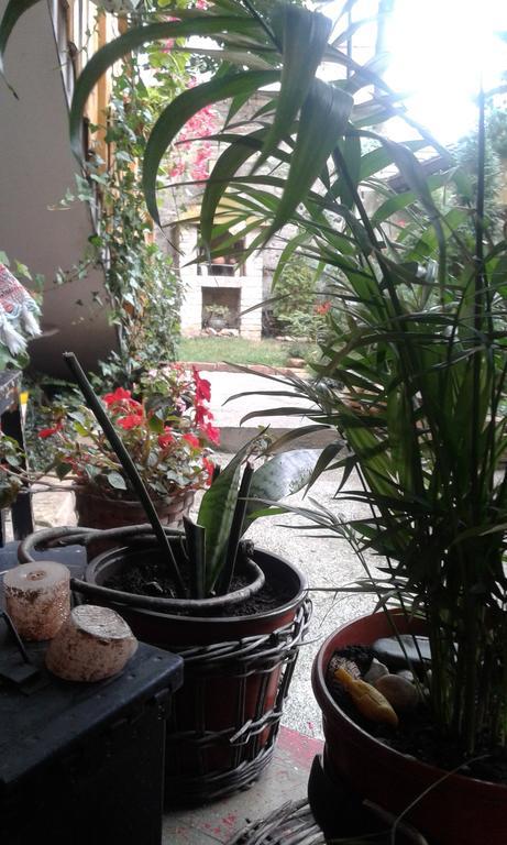 Apartment Centar SJJ Rom bilde